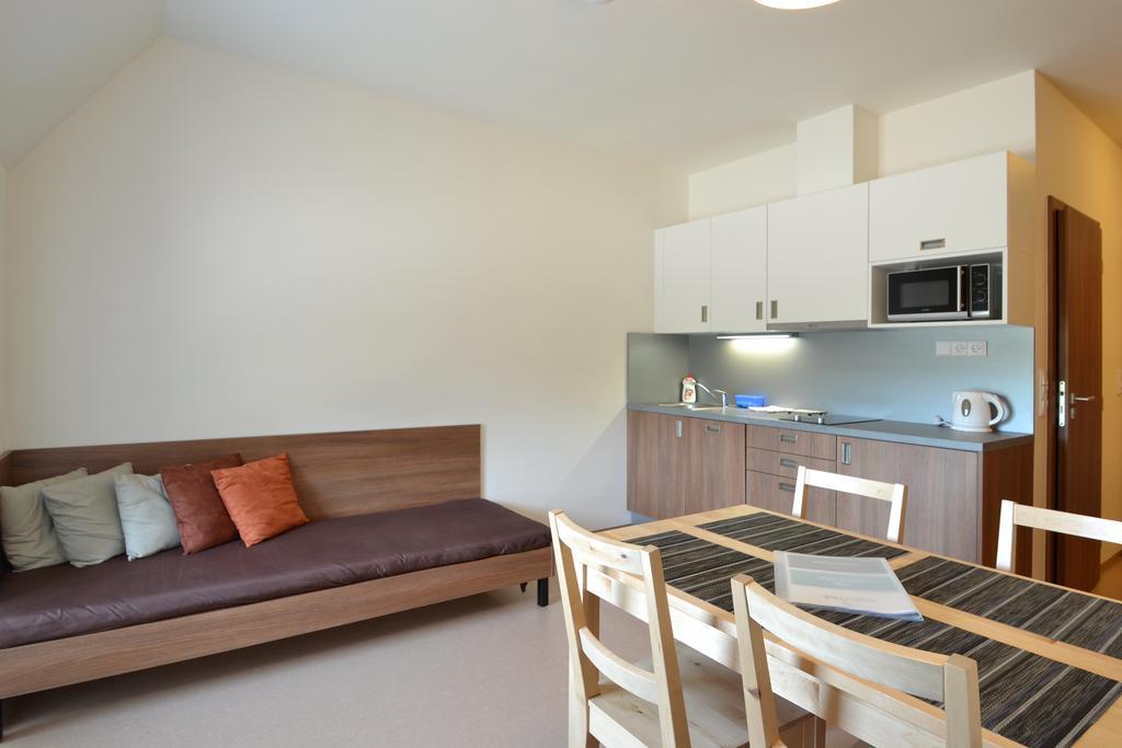 Apartmany Rokytka Snowhouse Rokytnice nad Jizerou Cameră foto